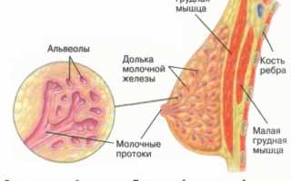 Солитарная киста молочной железы код по мкб