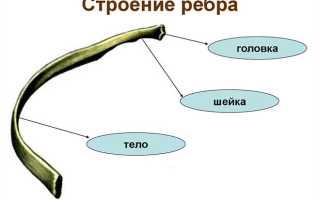 Болевой синдром при переломе ребер