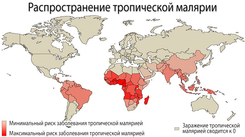 Ареал обитания малярийных комаров